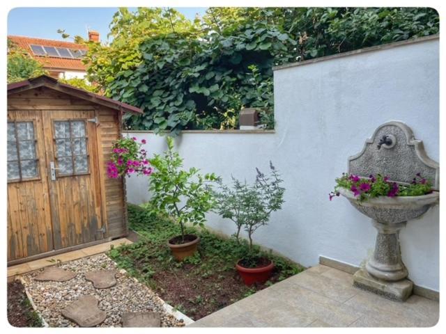 Apartamento Apartman Sorgo Zambratija  Exterior foto